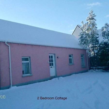 Hallmount Cottage - Belfast Exterior photo