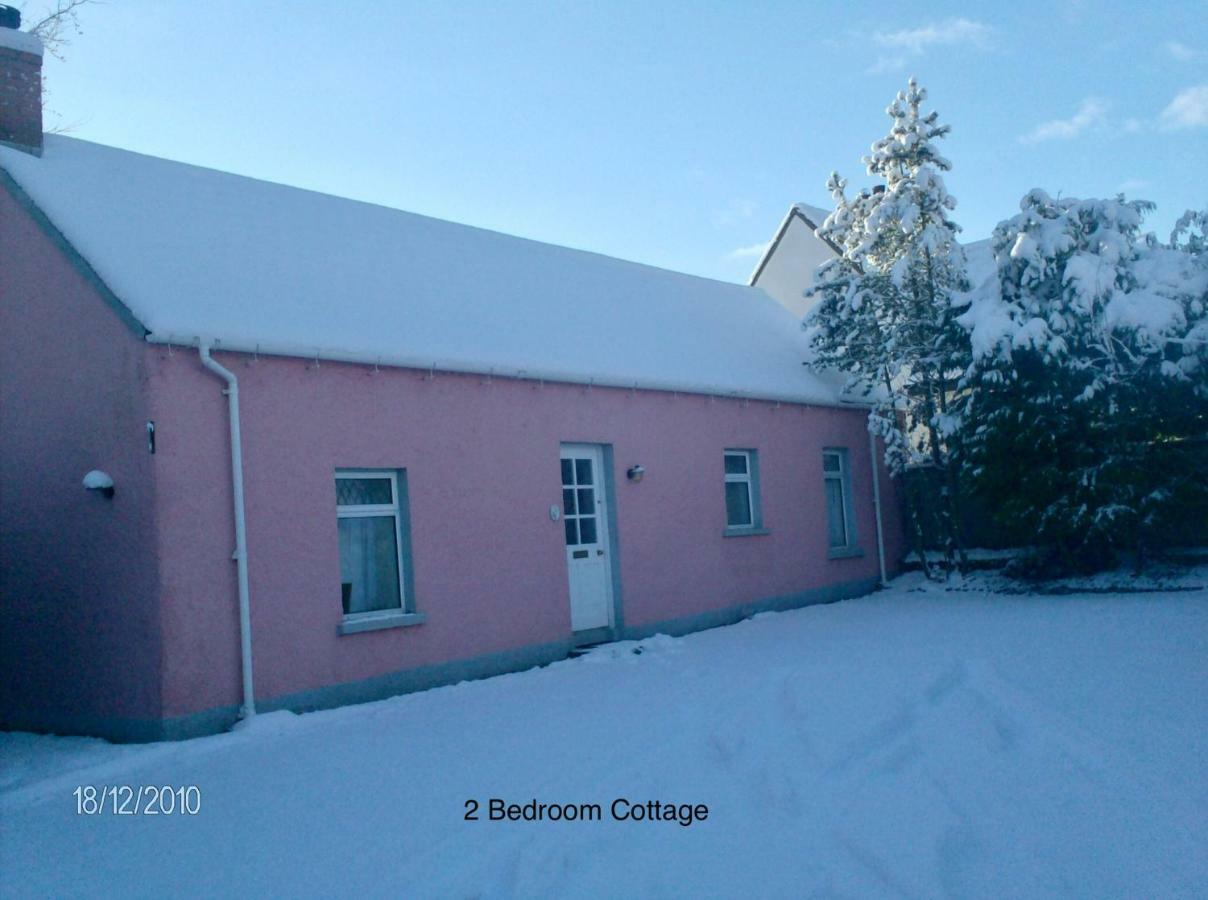 Hallmount Cottage - Belfast Exterior photo